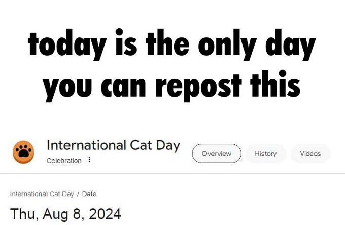 cat day Blank Meme Template