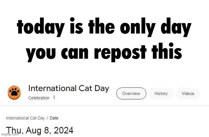cat day | image tagged in cat day | made w/ Imgflip meme maker