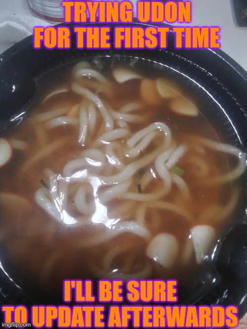 First time | TRYING UDON FOR THE FIRST TIME; I'LL BE SURE TO UPDATE AFTERWARDS | image tagged in japanese | made w/ Imgflip meme maker