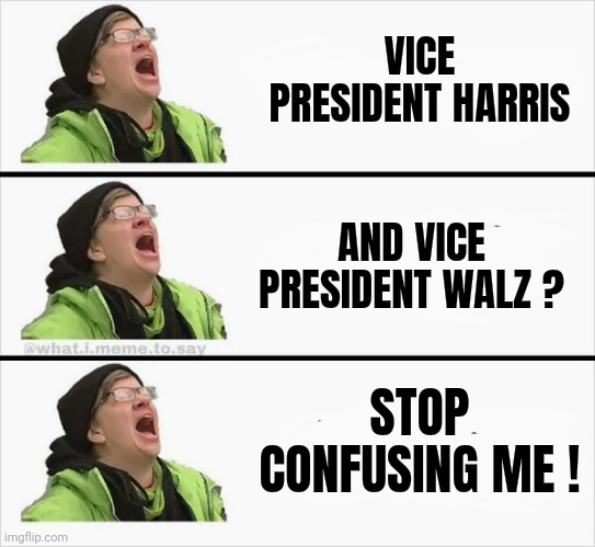 Whining Liberal | VICE PRESIDENT HARRIS AND VICE PRESIDENT WALZ ? STOP CONFUSING ME ! | image tagged in whining liberal | made w/ Imgflip meme maker