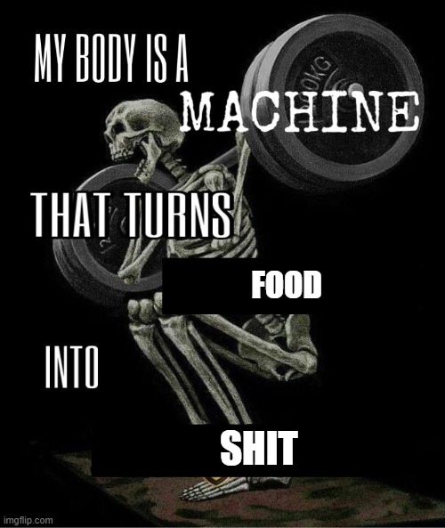 My body is machine | FOOD; SHIT | image tagged in my body is machine | made w/ Imgflip meme maker