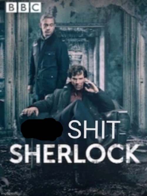 No shit Sherlock | image tagged in no shit sherlock | made w/ Imgflip meme maker