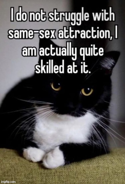 this is a lie I am not good at any kind of attraction | made w/ Imgflip meme maker