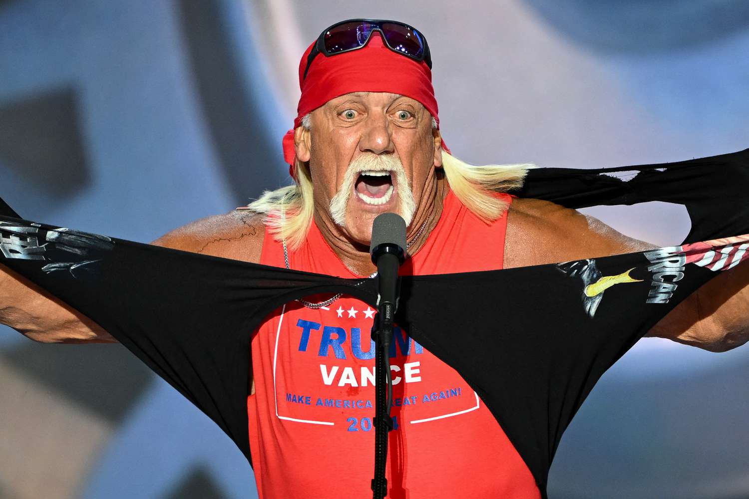 High Quality Hulk Hogan Blank Meme Template