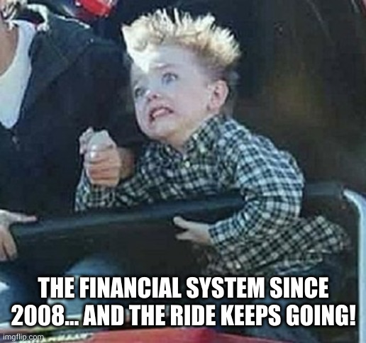 Up and down we go! | THE FINANCIAL SYSTEM SINCE 2008... AND THE RIDE KEEPS GOING! | image tagged in if 2020 was a facial expression,global financial system,world economy,rollercoaster,crisis,memes | made w/ Imgflip meme maker