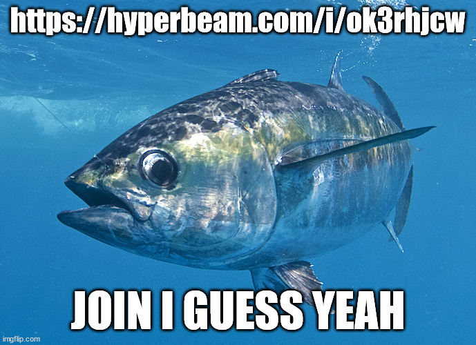 https://hyperbeam.com/i/ok3rhjcw | https://hyperbeam.com/i/ok3rhjcw; JOIN I GUESS YEAH | image tagged in tuna fish | made w/ Imgflip meme maker