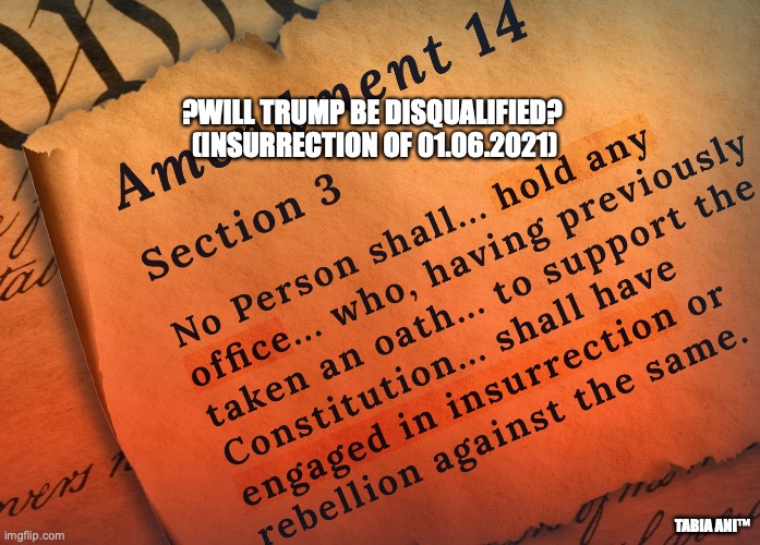 ?WILL TRUMP BE DISQUALIFIED?
 (INSURRECTION OF 01.06.2021); TABIA ANI™ | made w/ Imgflip meme maker