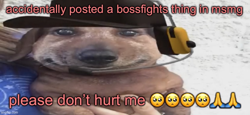 chucklenuts | accidentally posted a bossfights thing in msmg; please don’t hurt me 🥺🥺🥺🥺🙏🙏 | image tagged in chucklenuts | made w/ Imgflip meme maker