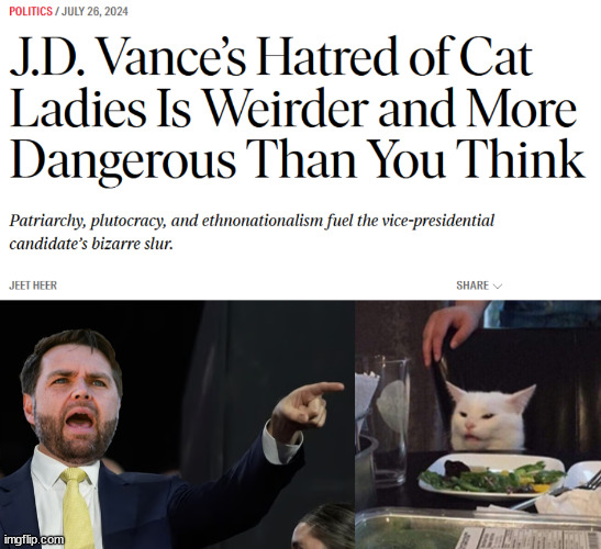 JD Vance yelling at cat | image tagged in donald trump,woman yelling at cat | made w/ Imgflip meme maker