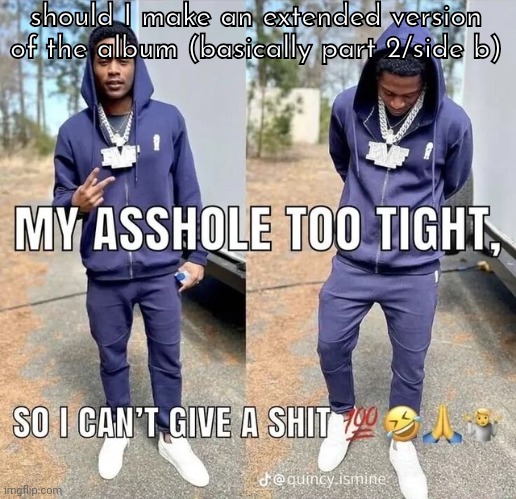 can't give a shii | should I make an extended version of the album (basically part 2/side b) | image tagged in can't give a shii | made w/ Imgflip meme maker