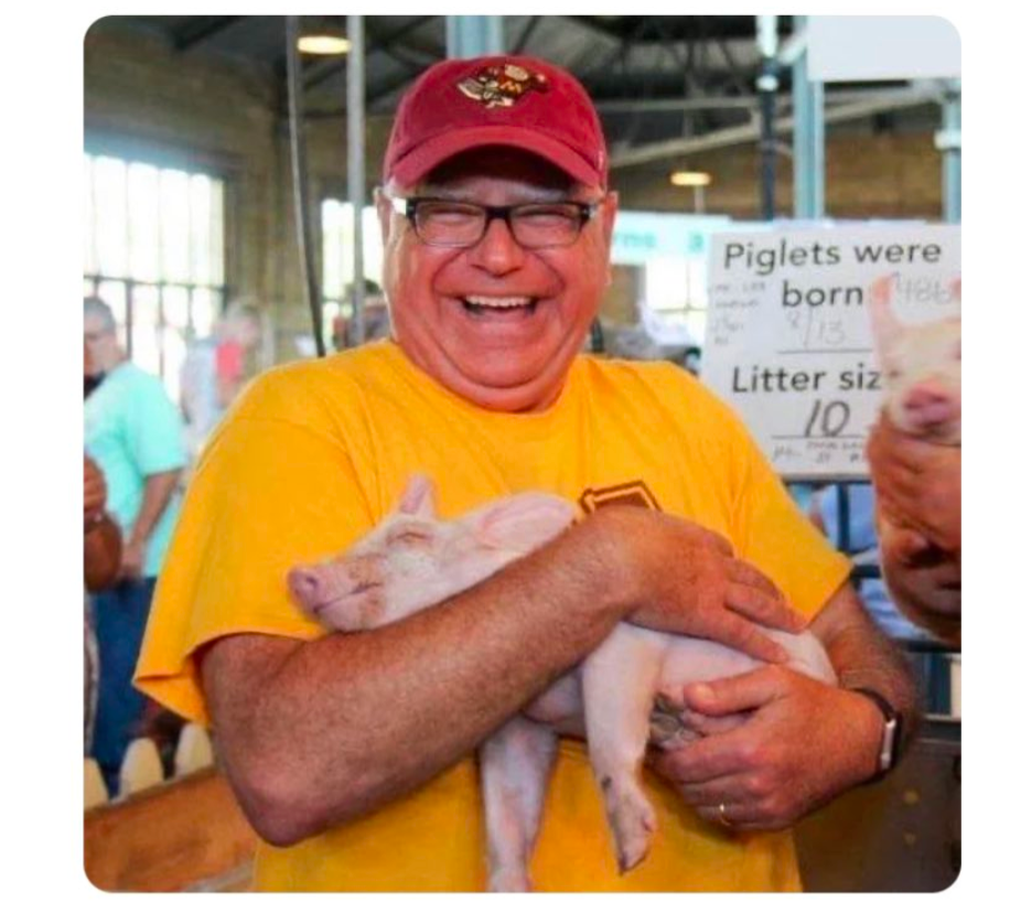 Tim Walz pig Blank Meme Template