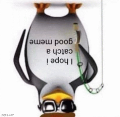 i hope i catch a good meme flipped | image tagged in i hope i catch a good meme flipped | made w/ Imgflip meme maker