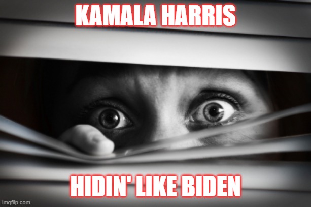 Hidin' Like Biden | KAMALA HARRIS; HIDIN' LIKE BIDEN | image tagged in kamala harris,democrats,msm,hiding from the media | made w/ Imgflip meme maker