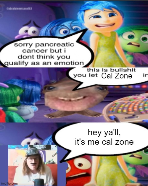 sorry pancreatic cancer but I don’t think you qualify as an emot | Cal Zone; hey ya'll, it's me cal zone | image tagged in sorry pancreatic cancer but i don t think you qualify as an emot | made w/ Imgflip meme maker