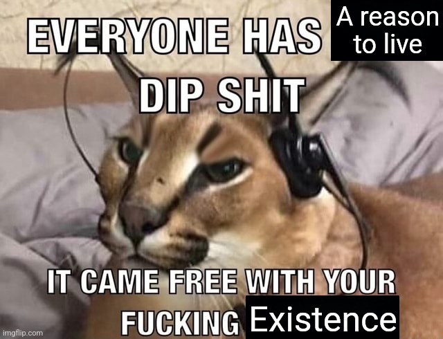 Everyone has X Dip Shit | A reason to live; Existence | image tagged in everyone has x dip shit | made w/ Imgflip meme maker