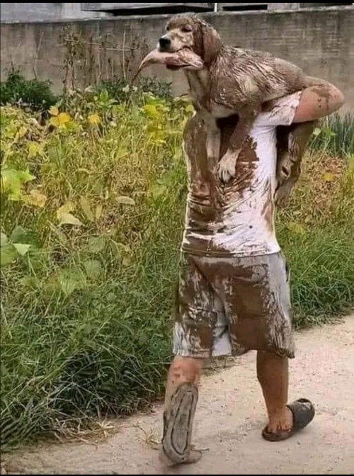 When You Take Your Dog Fishing | image tagged in when you take your dog fishing | made w/ Imgflip meme maker