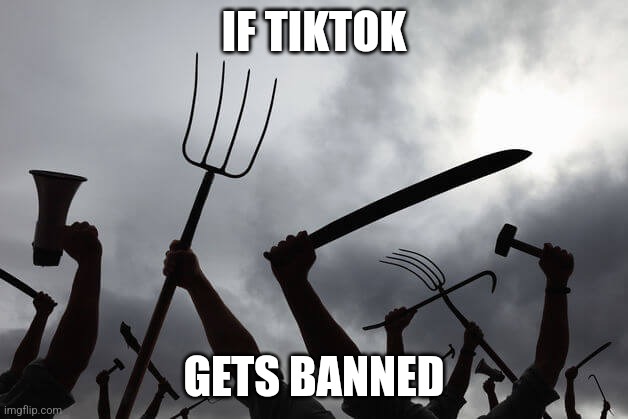 TikTok | IF TIKTOK; GETS BANNED | image tagged in angry mob,memes | made w/ Imgflip meme maker