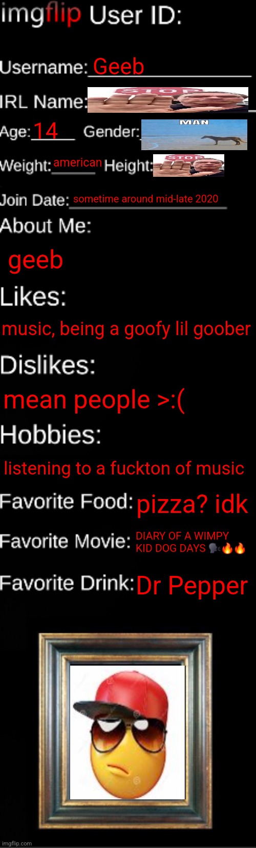 imgflip ID Card | Geeb; 14; american; sometime around mid-late 2020; geeb; music, being a goofy lil goober; mean people >:(; listening to a fuckton of music; pizza? idk; DIARY OF A WIMPY KID DOG DAYS 🗣🔥🔥; Dr Pepper | image tagged in imgflip id card | made w/ Imgflip meme maker