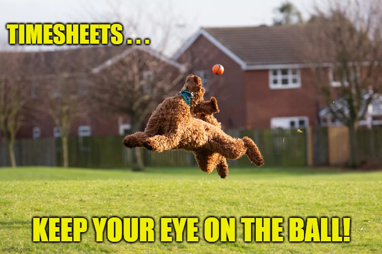 Eye on the Ball  Timesheet Reminder | TIMESHEETS . . . KEEP YOUR EYE ON THE BALL! | image tagged in eye on the ball  timesheet reminder,eye on the ball,timesheet reminder,timesheet meme,memes | made w/ Imgflip meme maker