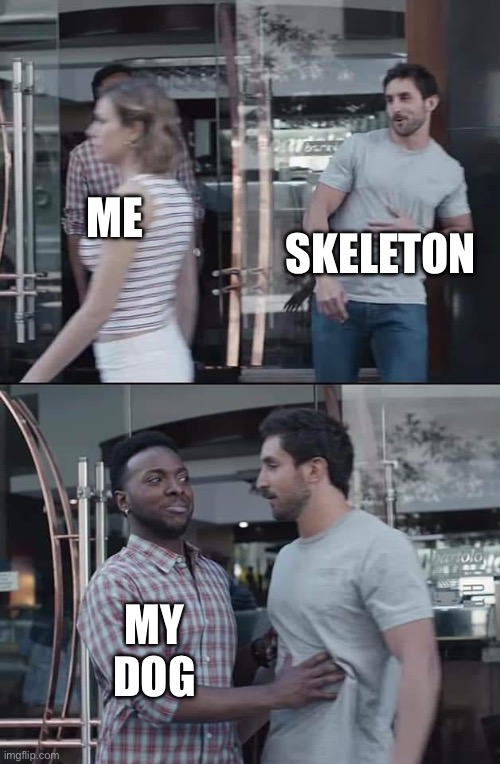 black guy stopping | SKELETON; ME; MY DOG | image tagged in black guy stopping | made w/ Imgflip meme maker