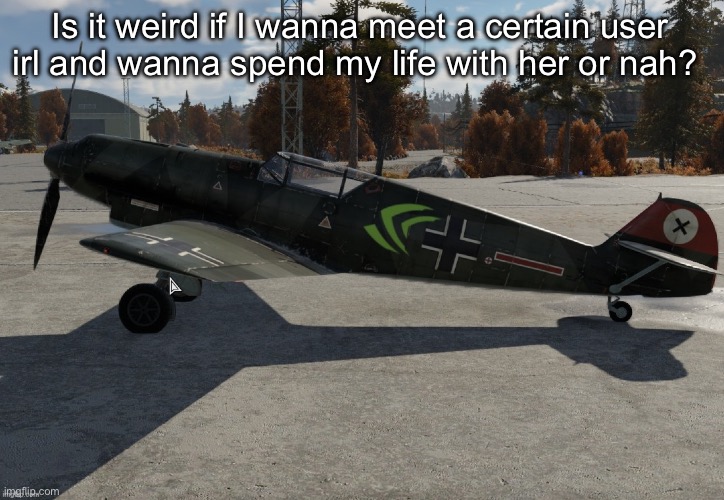 Nvidia plane | Is it weird if I wanna meet a certain user irl and wanna spend my life with her or nah? | image tagged in nvidia plane | made w/ Imgflip meme maker