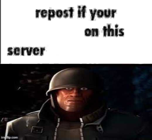 Repost if you're a server | image tagged in repost if your presence on this server is not necessary | made w/ Imgflip meme maker