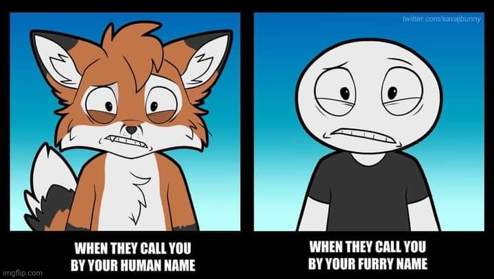 This relatable to any of you? Lol (art by SavajBunny) | image tagged in memes,furry | made w/ Imgflip meme maker