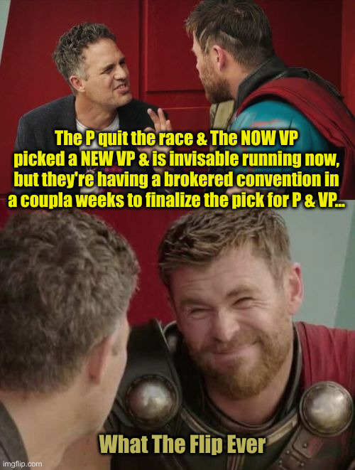 Ummm Hmmmm | The P quit the race & The NOW VP picked a NEW VP & is invisable running now, but they're having a brokered convention in a coupla weeks to finalize the pick for P & VP... What The Flip Ever | image tagged in is it though,political meme,politics,funny memes,funny | made w/ Imgflip meme maker