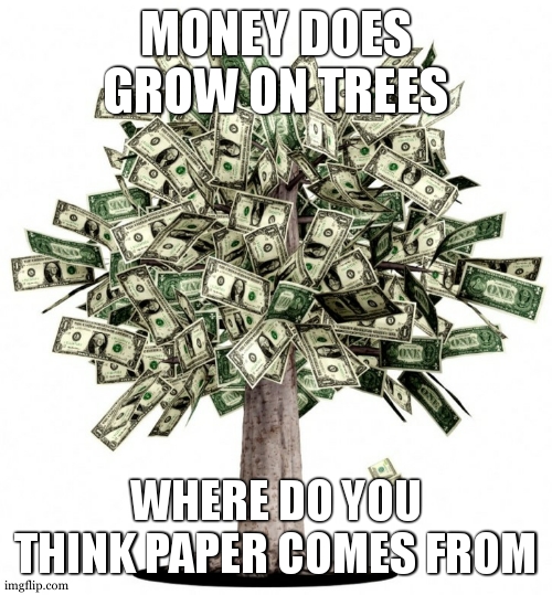 truth | MONEY DOES GROW ON TREES; WHERE DO YOU THINK PAPER COMES FROM | image tagged in money tree,funny,memes,funny memes | made w/ Imgflip meme maker