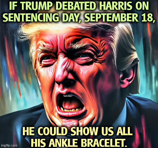 IF TRUMP DEBATED HARRIS ON SENTENCING DAY, SEPTEMBER 18, HE COULD SHOW US ALL 
HIS ANKLE BRACELET. | image tagged in trump,convicted felon,corruption,presidential debate | made w/ Imgflip meme maker