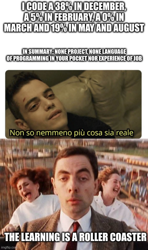 learning | I CODE A 38% IN DECEMBER, A 5% IN FEBRUARY, A 0% IN MARCH AND 19% IN MAY AND AUGUST; IN SUMMARY: NONE PROJECT, NONE LANGUAGE OF PROGRAMMING IN YOUR POCKET NOR EXPERIENCE OF JOB; THE LEARNING IS A ROLLER COASTER | image tagged in non so nemmeno pi cosa sia reale,mr bean roller coaster | made w/ Imgflip meme maker