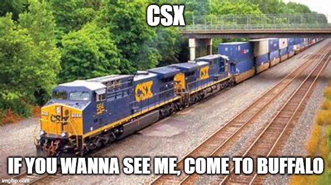 Chessie Seaboard Xpress | CSX; IF YOU WANNA SEE ME, COME TO BUFFALO | image tagged in chessie seaboard xpress | made w/ Imgflip meme maker