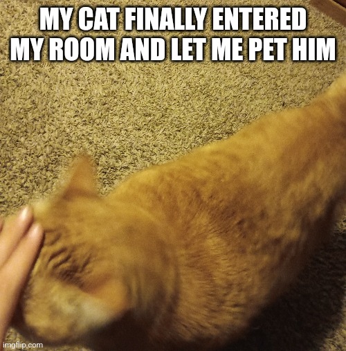 MY CAT FINALLY ENTERED MY ROOM AND LET ME PET HIM | made w/ Imgflip meme maker