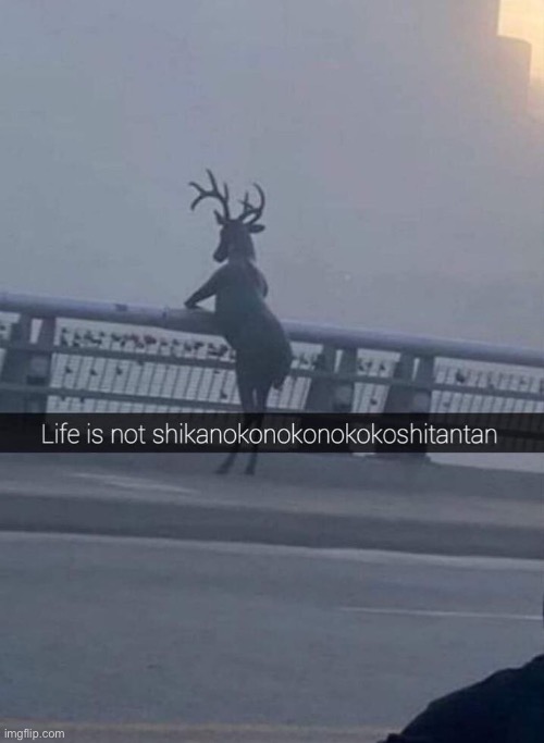 Shikanokonokonokokoshitantan | made w/ Imgflip meme maker