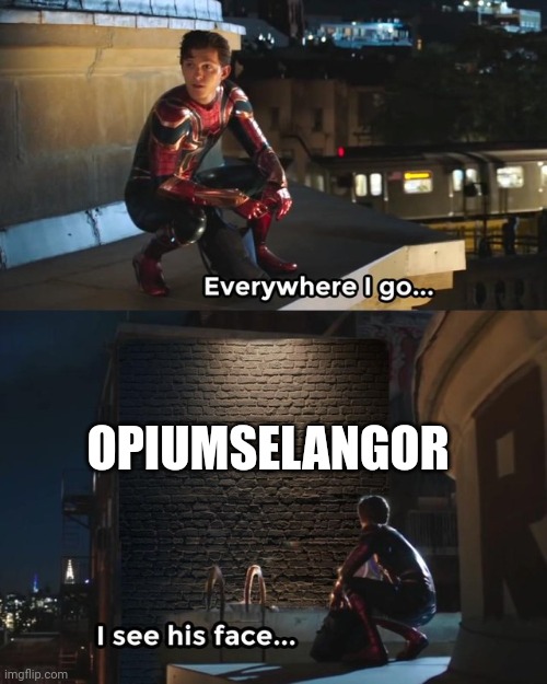 Everywhere I go I see his face | OPIUMSELANGOR | image tagged in everywhere i go i see his face | made w/ Imgflip meme maker