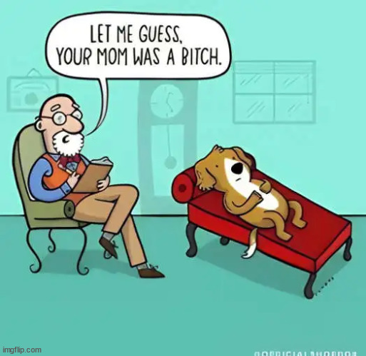 Freudian dog psychiatrist | image tagged in repost,dog,psychiatrist,freud | made w/ Imgflip meme maker