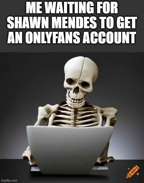 Waiting For Shawn Mendes To Get Onlyfans | ME WAITING FOR SHAWN MENDES TO GET AN ONLYFANS ACCOUNT | image tagged in shawn mendes,onlyfans,skeleton,waiting skeleton,funny,memes | made w/ Imgflip meme maker