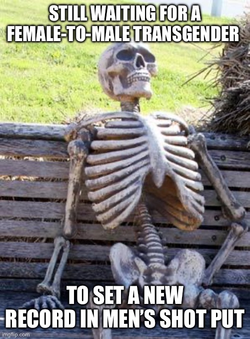 Waiting Skeleton Meme | STILL WAITING FOR A FEMALE-TO-MALE TRANSGENDER TO SET A NEW RECORD IN MEN’S SHOT PUT | image tagged in memes,waiting skeleton | made w/ Imgflip meme maker