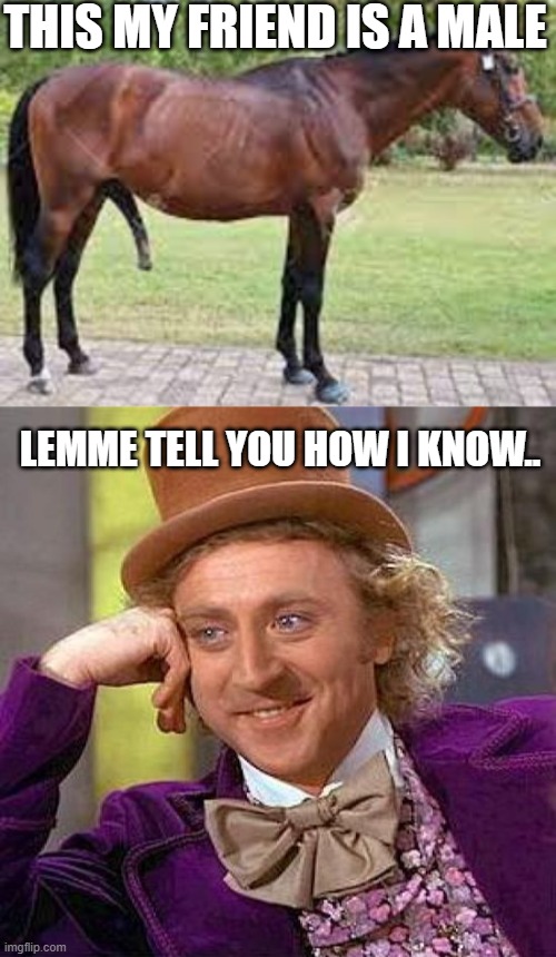 THIS MY FRIEND IS A MALE; LEMME TELL YOU HOW I KNOW.. | image tagged in memes,creepy condescending wonka | made w/ Imgflip meme maker