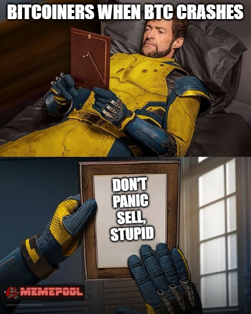 Wolverine Remember Bitcoin Crash | BITCOINERS WHEN BTC CRASHES; DON'T PANIC SELL, STUPID | image tagged in new wolverine remember | made w/ Imgflip meme maker