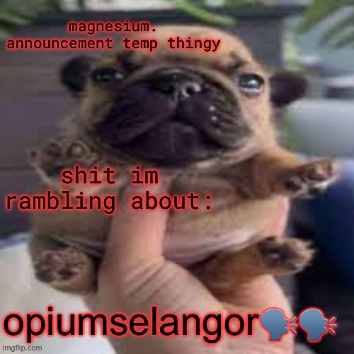 pug temp | opiumselangor🗣️🗣️ | image tagged in pug temp | made w/ Imgflip meme maker