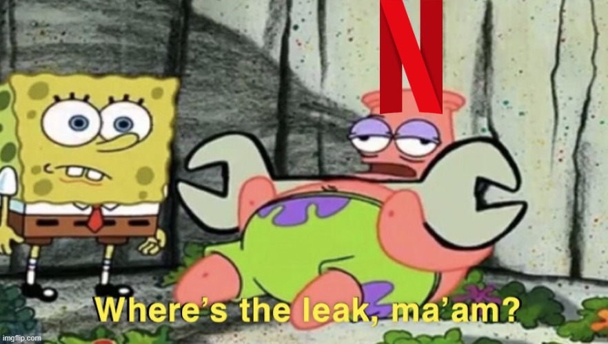 Netflix when two new Spongebob movies got leaked | image tagged in patrick where's the leak ma'am,netflix,2024,2025 | made w/ Imgflip meme maker