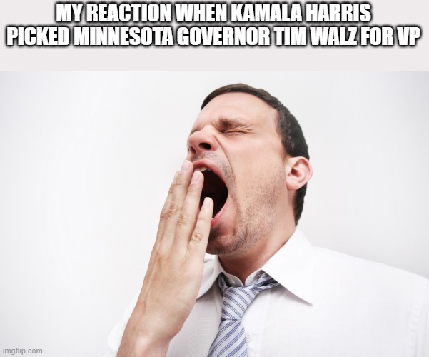 LOL!! | MY REACTION WHEN KAMALA HARRIS PICKED MINNESOTA GOVERNOR TIM WALZ FOR VP | image tagged in yawn,minnesota,democrats,kamala harris,vice president,leftist | made w/ Imgflip meme maker