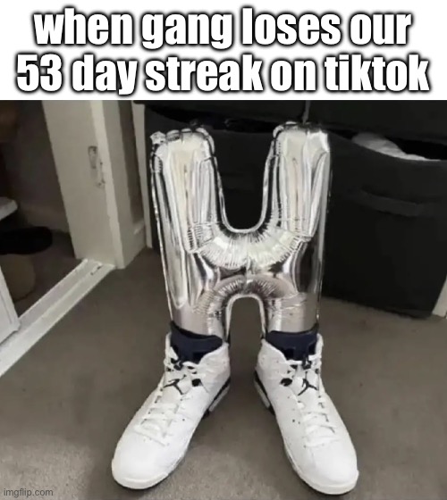 when | when gang loses our 53 day streak on tiktok | image tagged in h | made w/ Imgflip meme maker