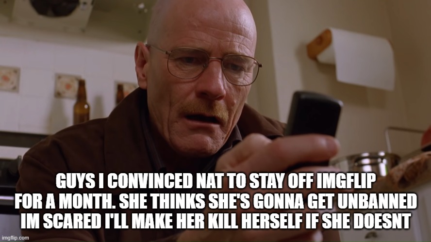 Walter White on his Phone | GUYS I CONVINCED NAT TO STAY OFF IMGFLIP FOR A MONTH. SHE THINKS SHE'S GONNA GET UNBANNED IM SCARED I'LL MAKE HER KILL HERSELF IF SHE DOESNT | image tagged in walter white on his phone | made w/ Imgflip meme maker