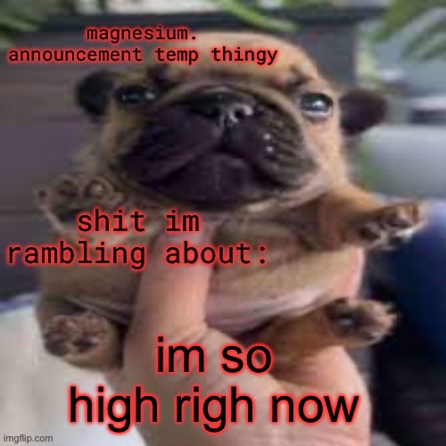 Took a minute t type | im so high righ now | image tagged in pug temp | made w/ Imgflip meme maker