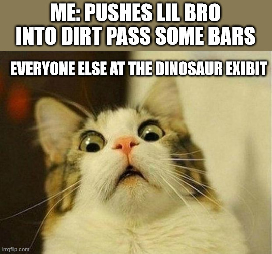 Scared Cat Meme | ME: PUSHES LIL BRO INTO DIRT PASS SOME BARS; EVERYONE ELSE AT THE DINOSAUR EXIBIT | image tagged in memes,scared cat | made w/ Imgflip meme maker