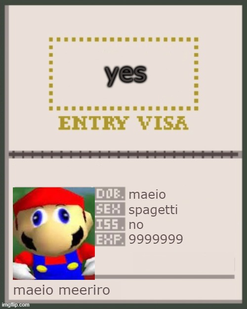 hello mario! | yes; maeio; spagetti; no; 9999999; maeio meeriro | image tagged in imgsoc passport | made w/ Imgflip meme maker