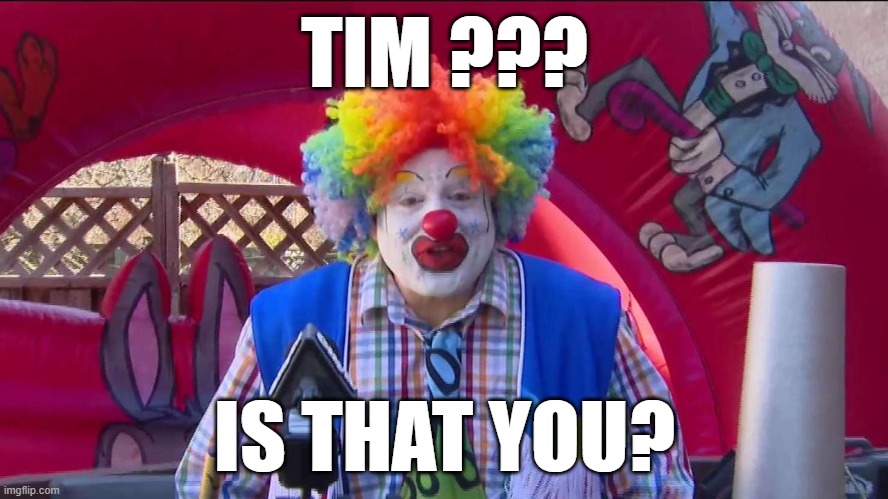 tim | TIM ??? IS THAT YOU? | image tagged in timmy | made w/ Imgflip meme maker