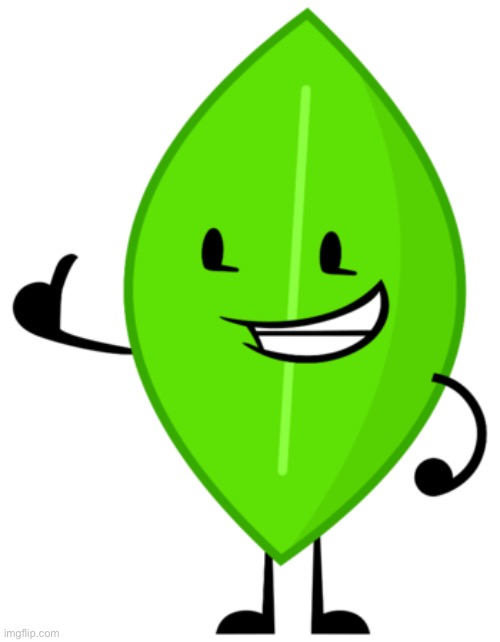 Leafy BFDI | image tagged in leafy bfdi | made w/ Imgflip meme maker